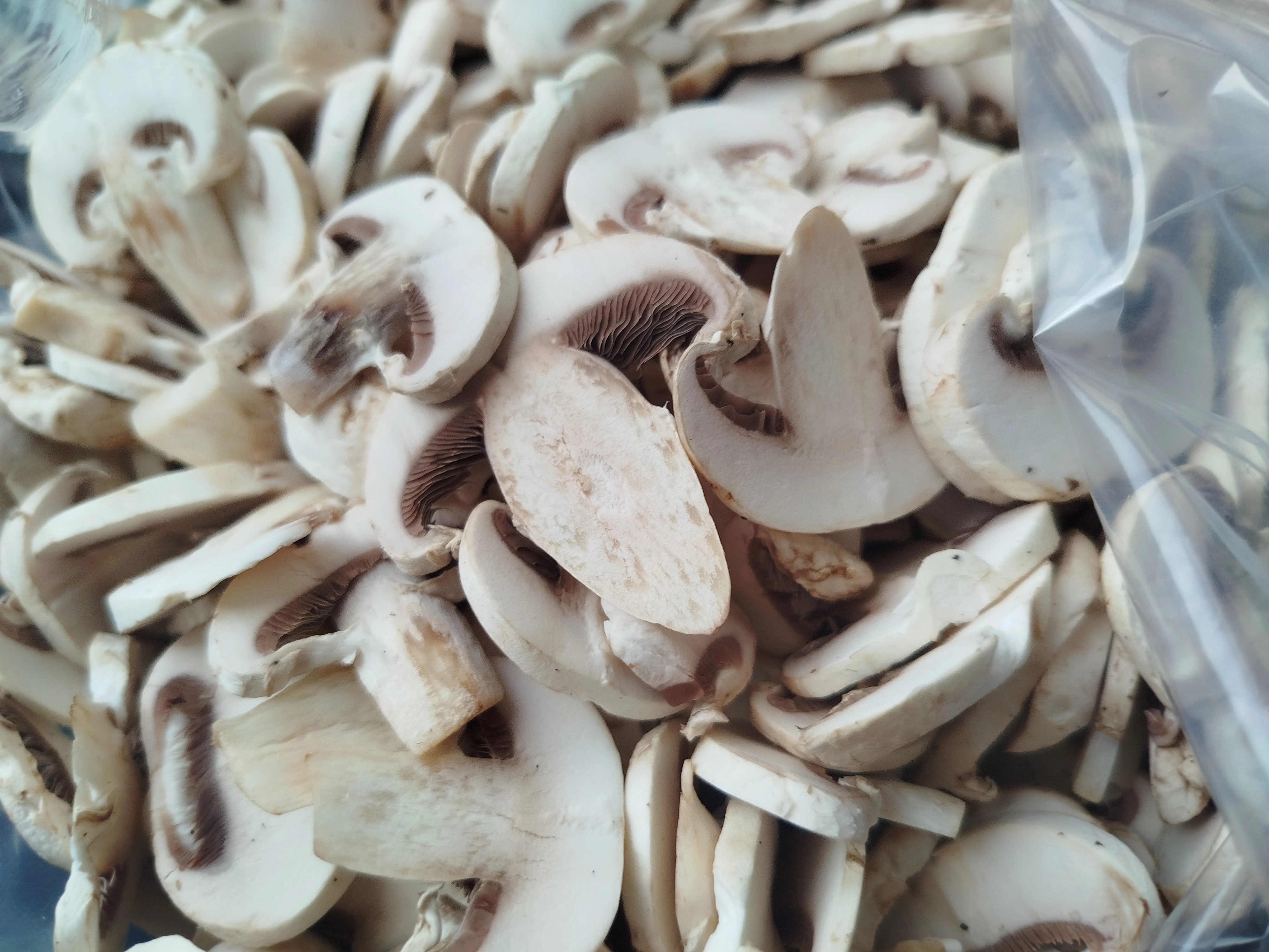 قارچ اسلایس درجه یک